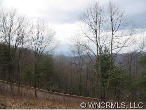 2 Chimney Ridge Clyde, NC 28721 - Photo 3 of 6