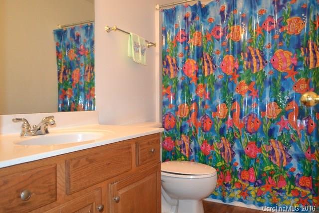 408 Lafinca Court Fort Mill, SC 29708 - Photo 15 of 20 a bathroom with a sink a toilet and painting on the wall