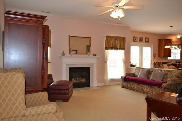 408 Lafinca Court Fort Mill, SC 29708 - Photo 5 of 20 a living room with furniture and a fireplace