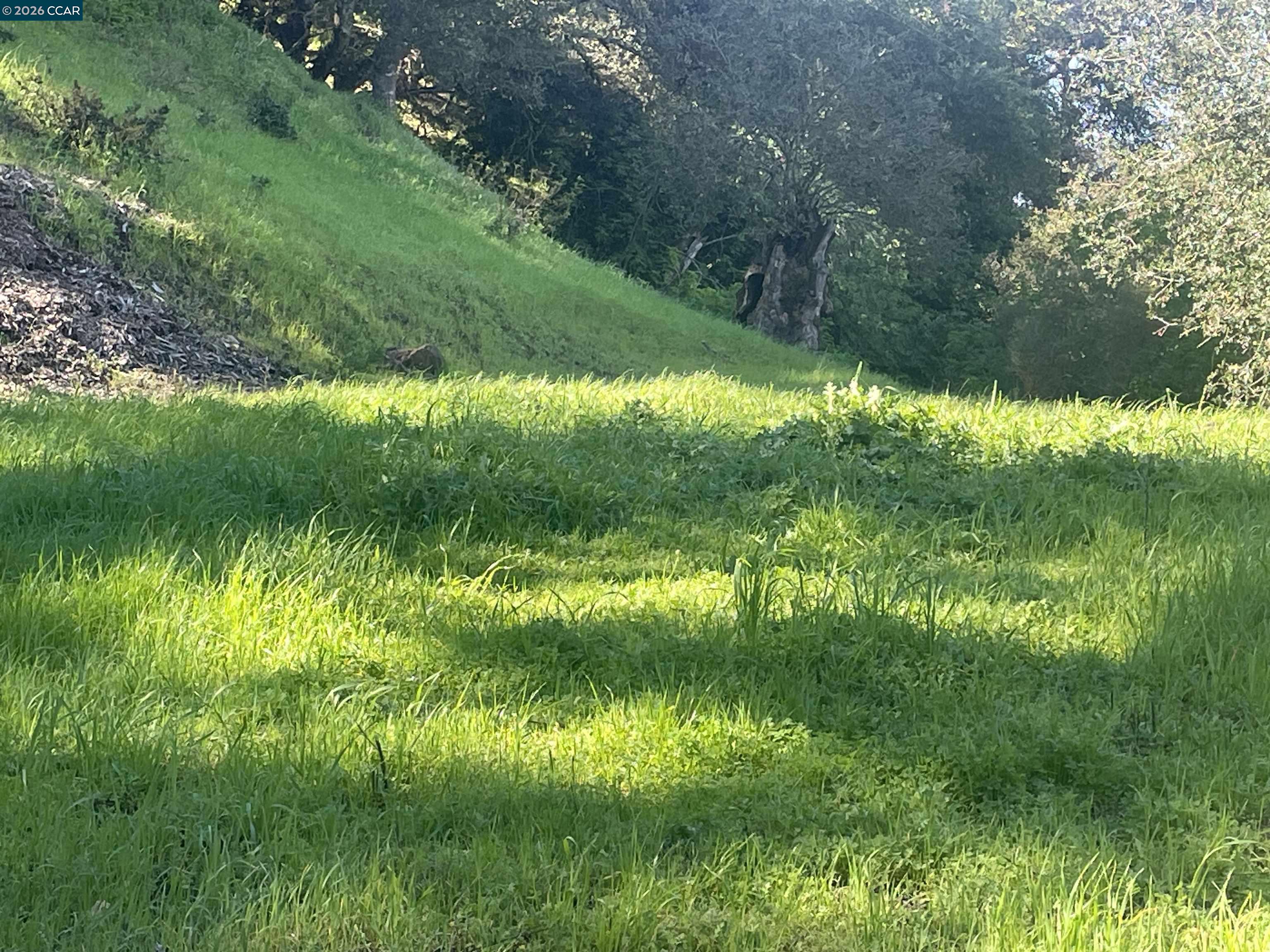 2965 Rohrer Drive Lafayette, CA 94549 - Photo 1 of 10 a view of a lush green space