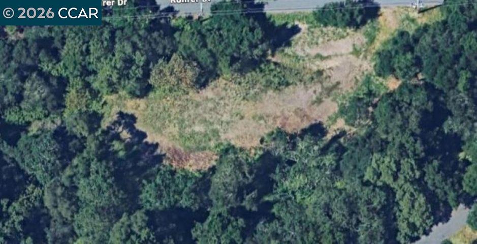 2965 Rohrer Drive Lafayette, CA 94549 - Photo 4 of 10 a view of a tree