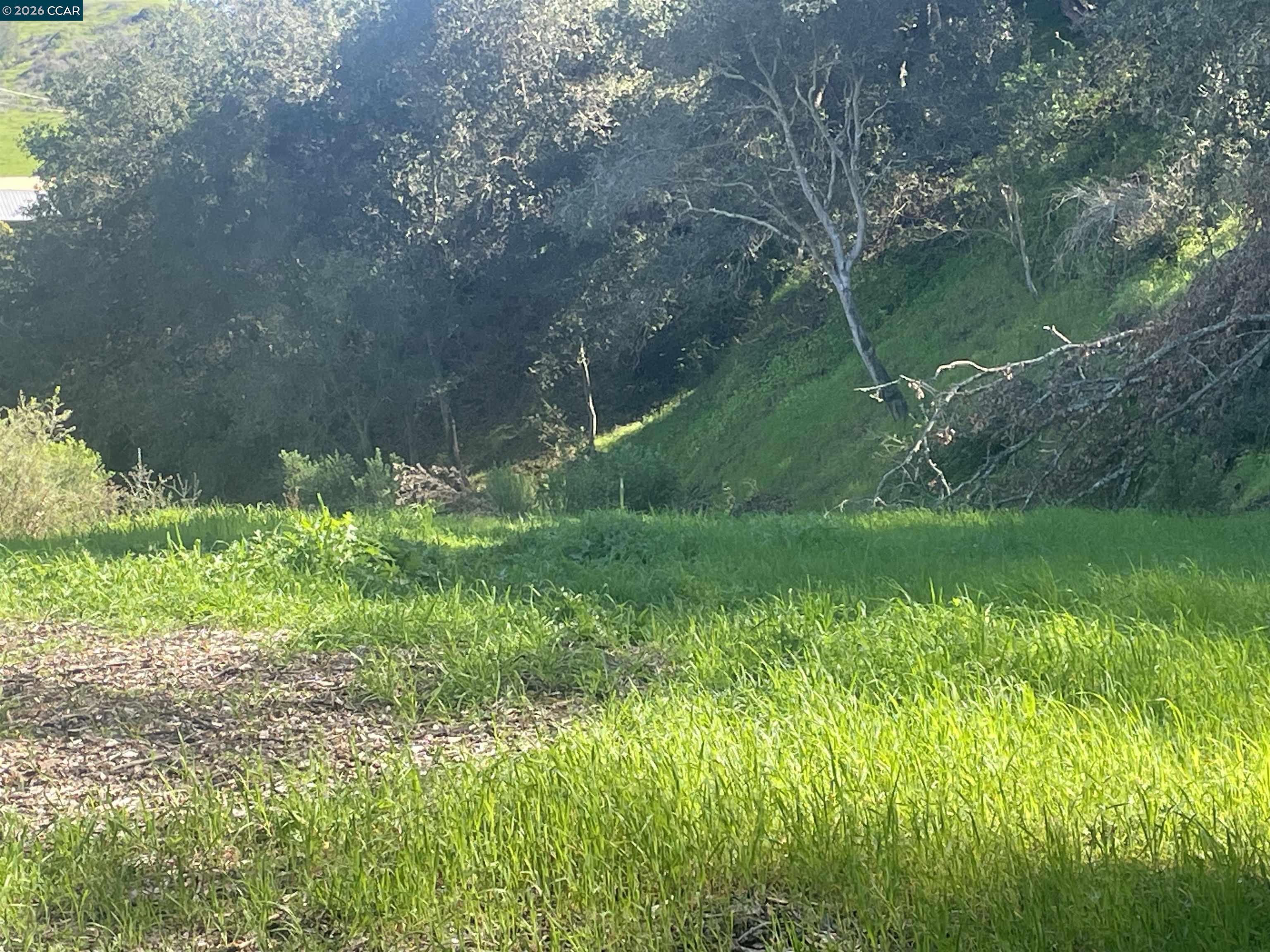 2965 Rohrer Drive Lafayette, CA 94549 - Photo 10 of 10 a view of a garden with a lake