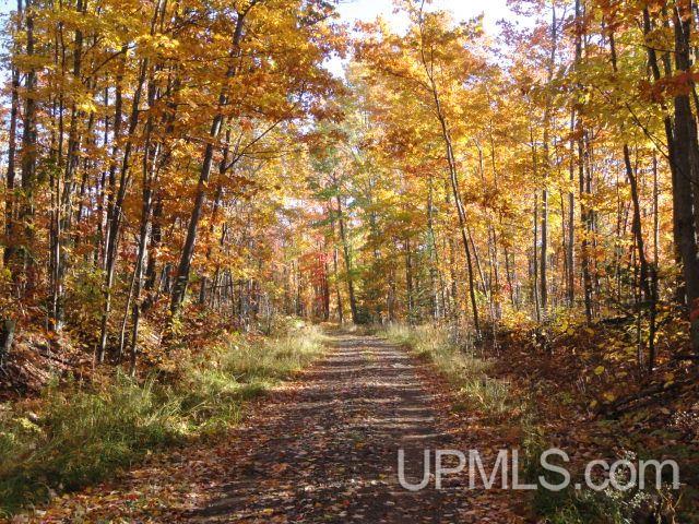 Tbd Tbd Off Townline Road Lanse, MI 49946 - Photo 1 of 18