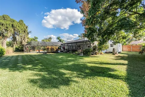 a view of a big yard with plants and a large tree