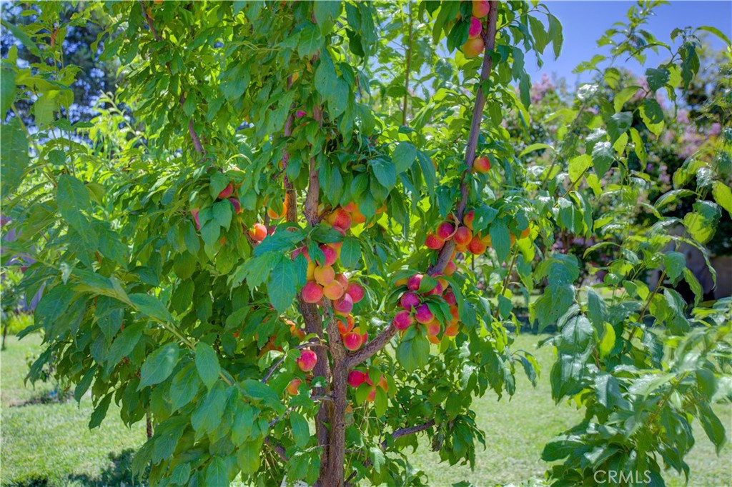 4513 East Tuolumne Road Denair, CA 95316 - Photo 34 of 36