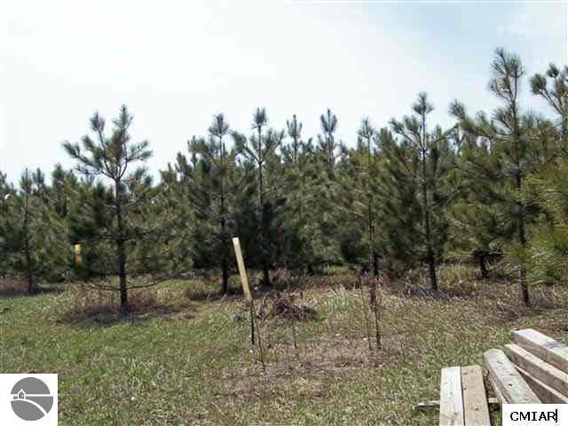4451 North Guy Road Lake, MI 48632 - Photo 6 of 9 1765487-5.JPG
