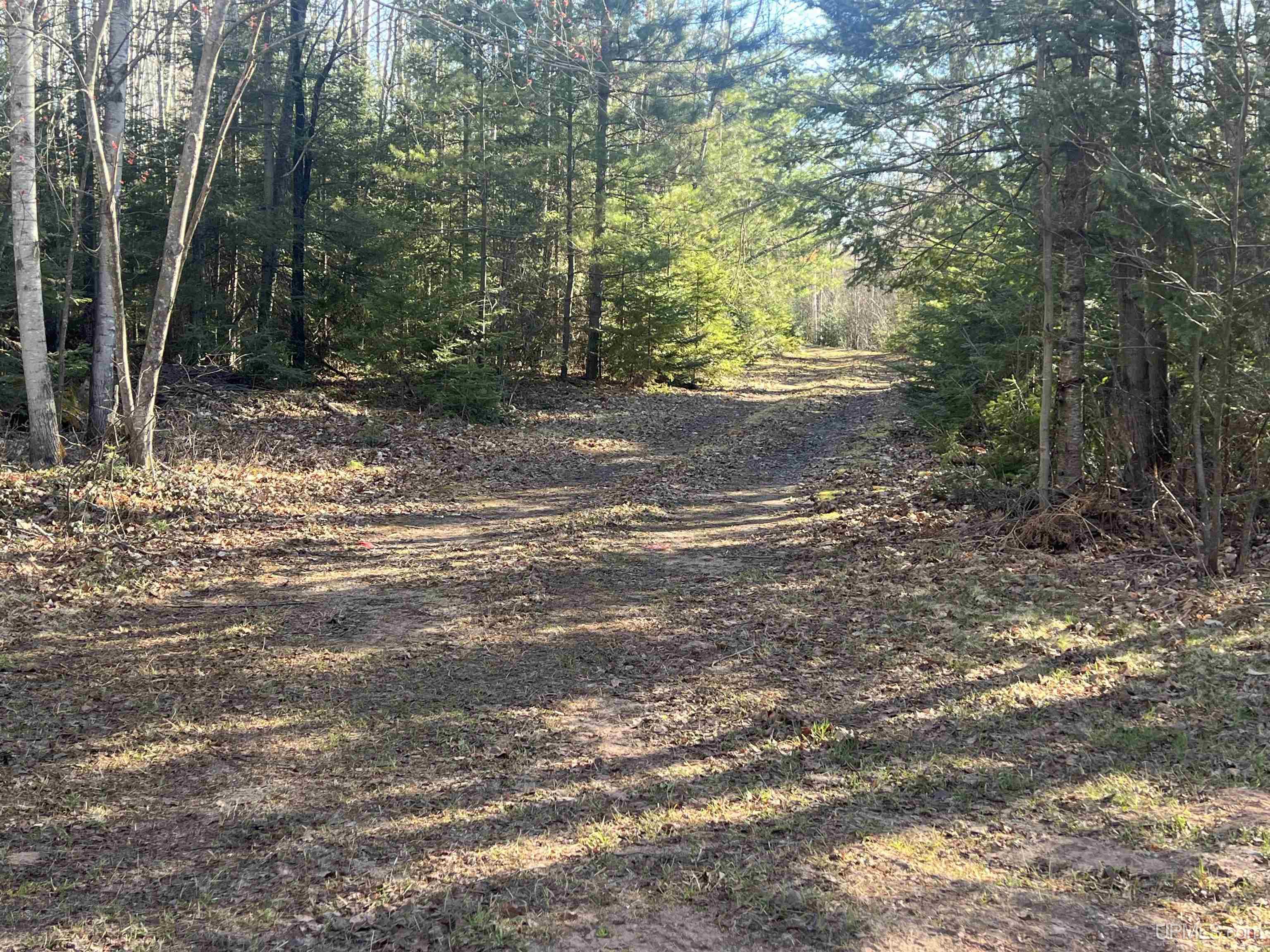 3250 West Co Road Negaunee, MI 49866 - Photo 2 of 26