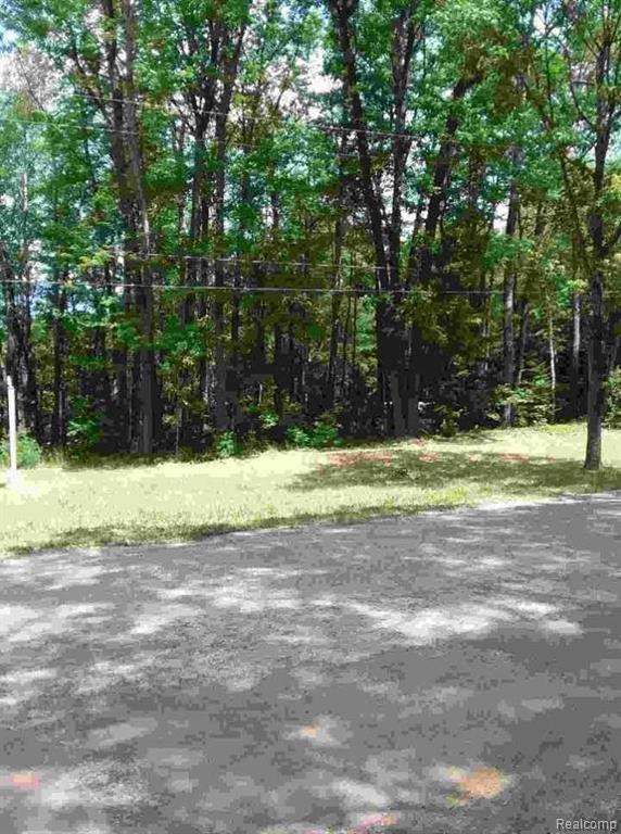 262 Dyer Road Rose City, MI 48654 - Photo 11 of 12 Gallery Image 11