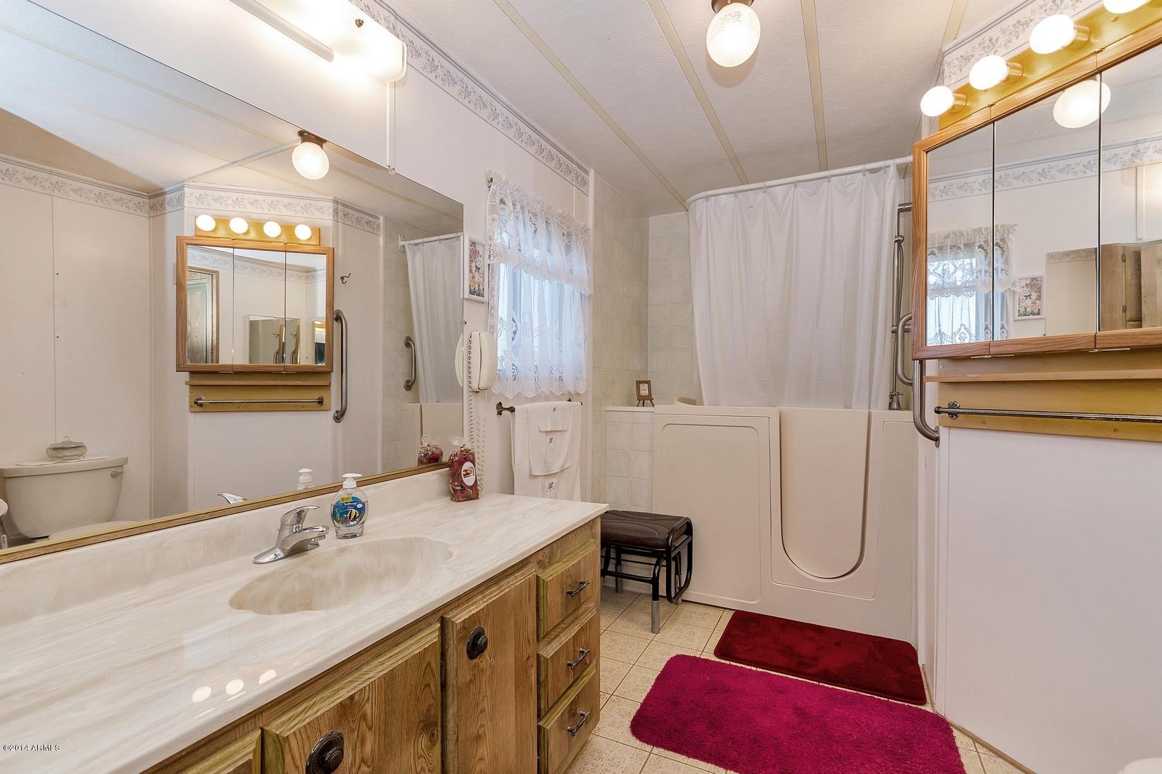 388 North Starr Road Apache Junction, AZ 85119 - Photo 18 of 30 Master Bath