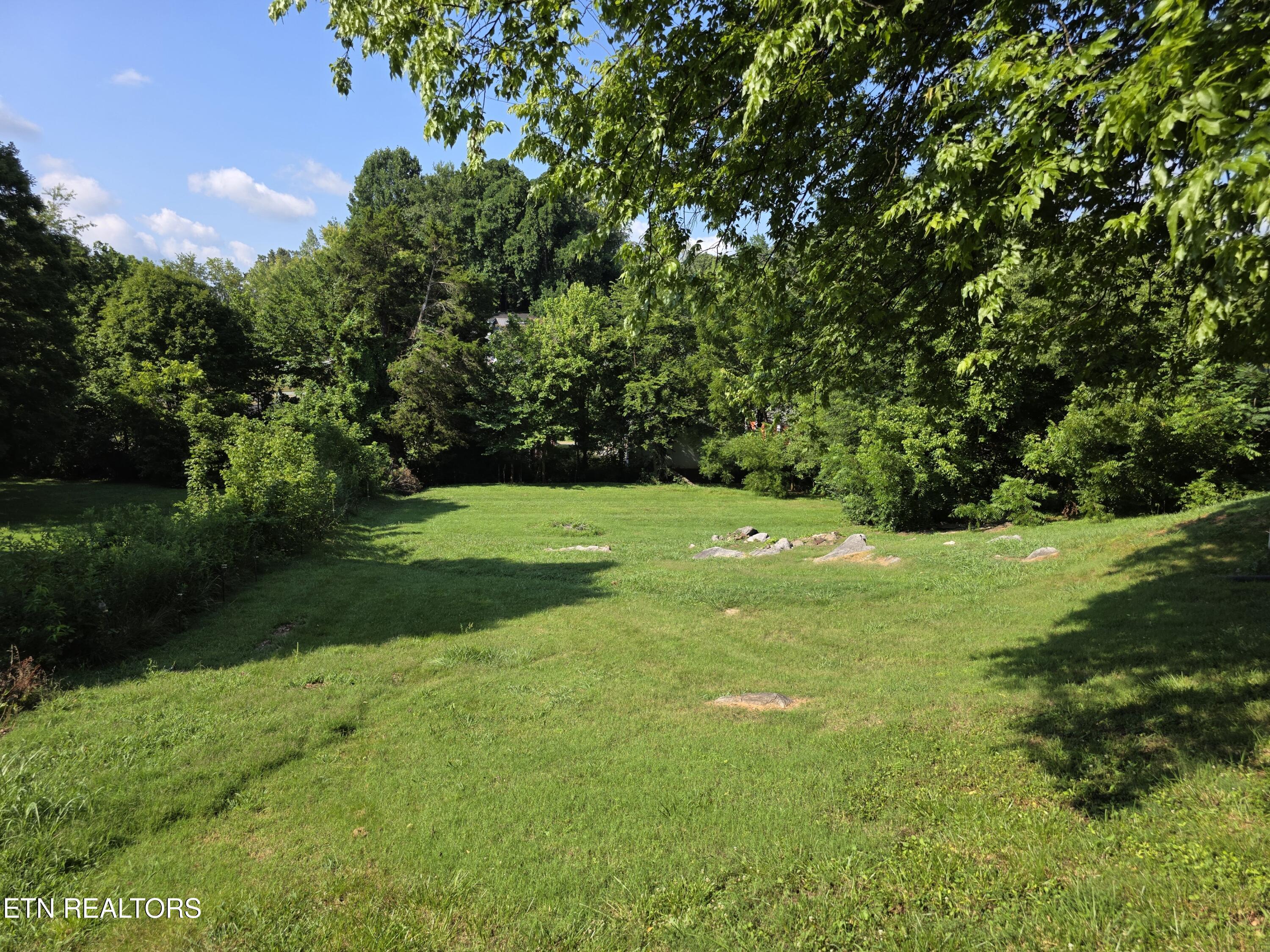 1038 Johnson Road Seymour, TN 37865 - Photo 15 of 18 20260709_100556