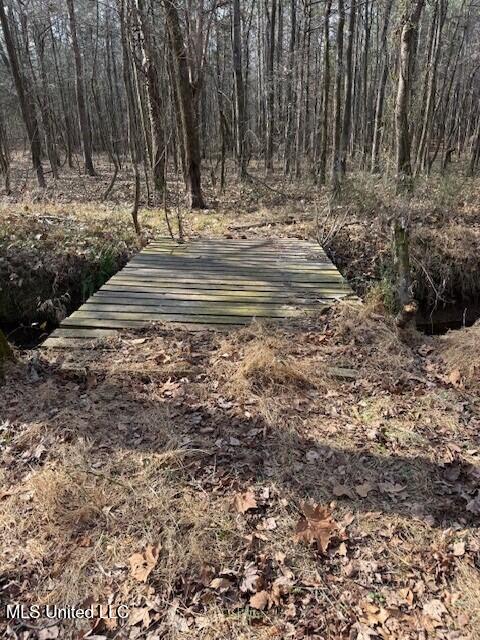 Mt Pilgrim Road Camden, MS 39045 - Photo 65 of 74 7
