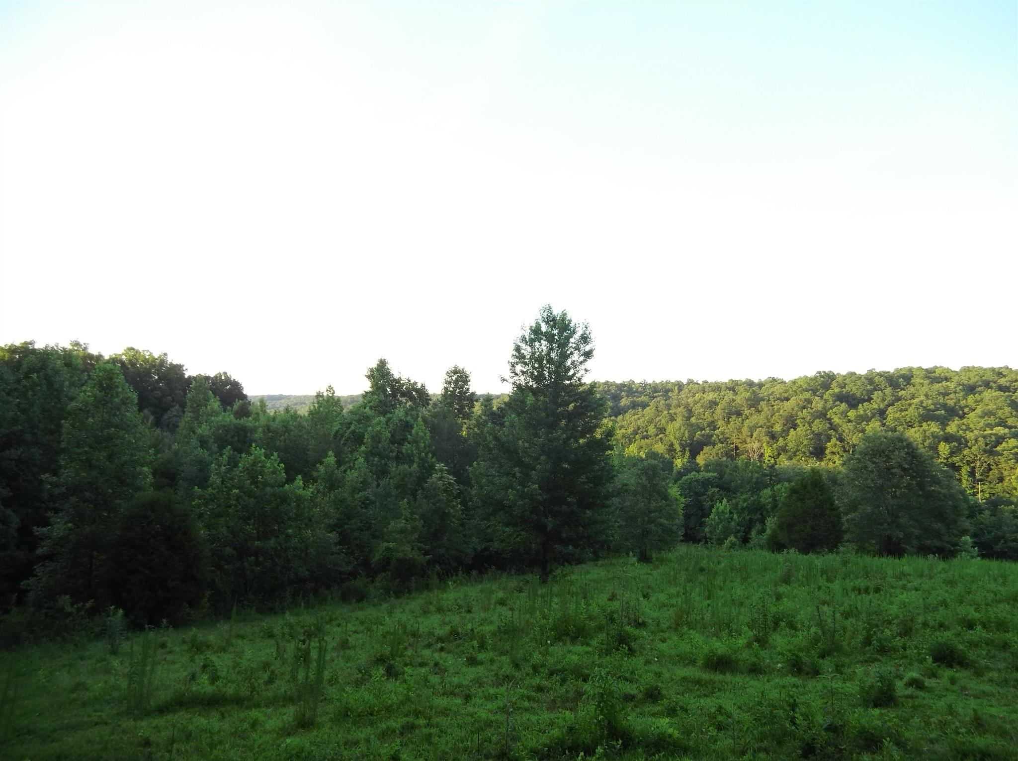 1138 Mathis Hollow Road Centerville, TN 37033 - Photo 7 of 18 Gallery Image 7