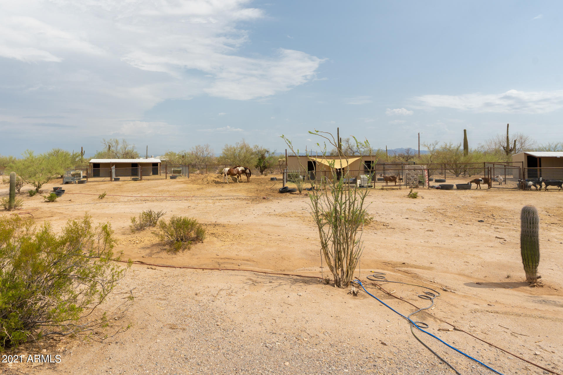 13702 North Hexcel Road Florence, AZ 85132 - Photo 40 of 44 Property