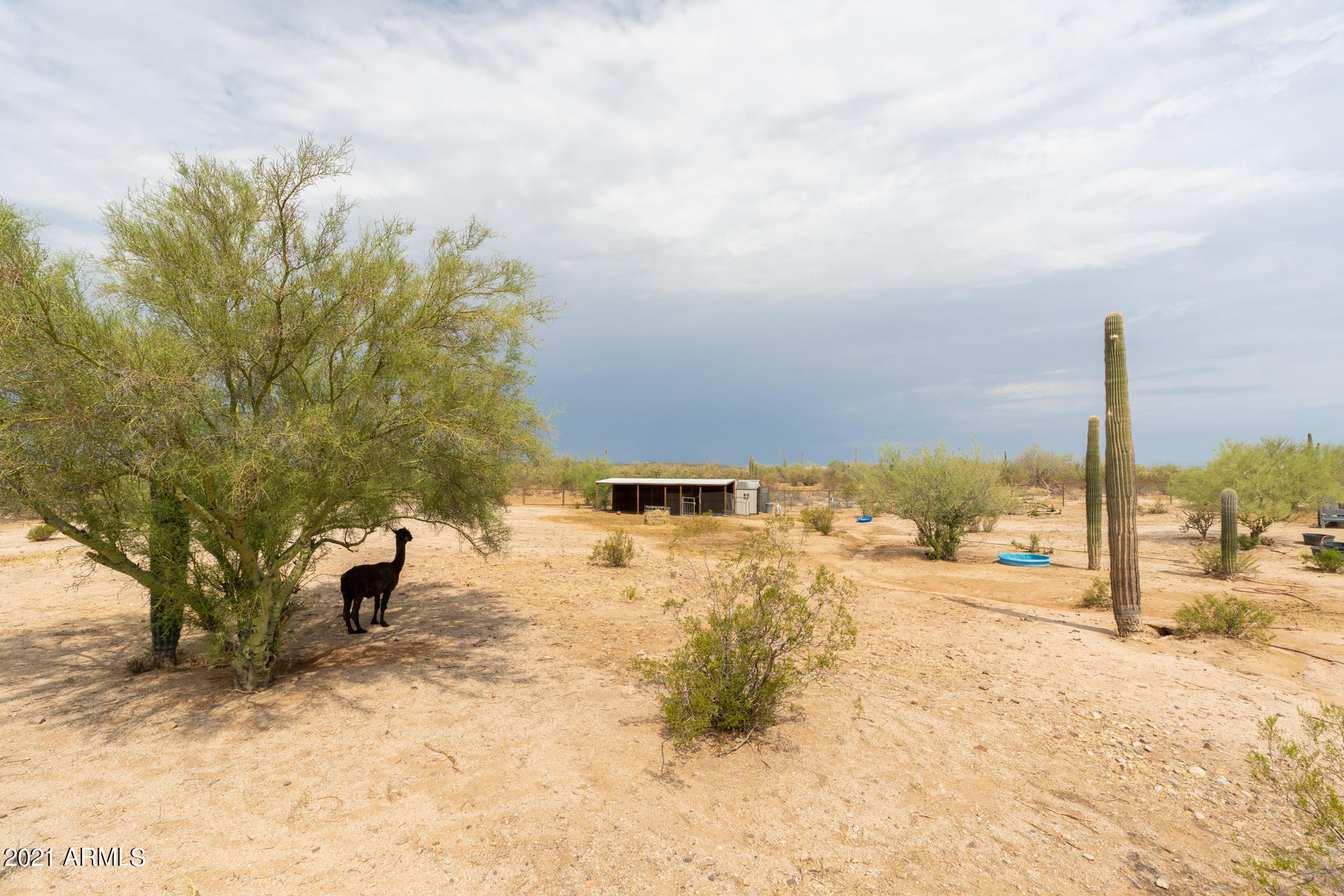13702 North Hexcel Road Florence, AZ 85132 - Photo 42 of 44 Property