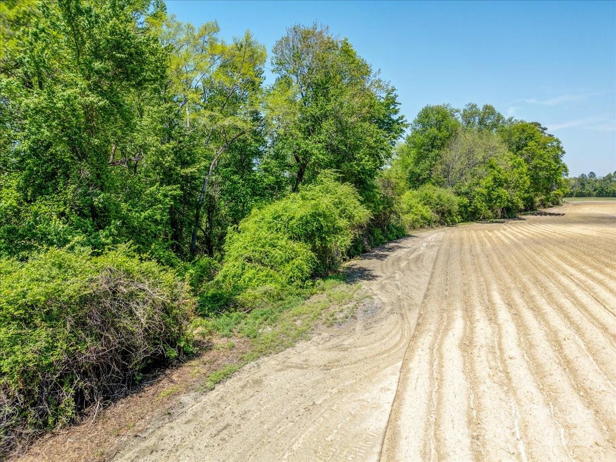 3000 Wrench Road Godwin, NC 28344 - Photo 1 of 1 a view of backyard with green space