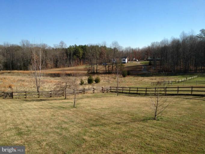 rear yard