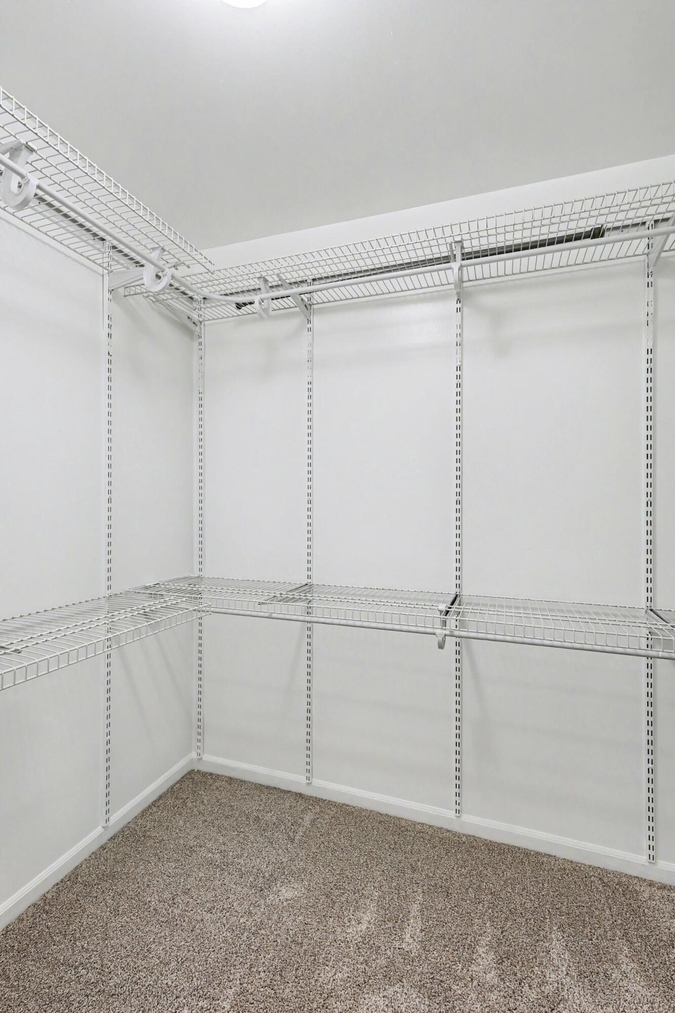 4324 Hampton Ridge Boulevard Howell, MI 48843 - Photo 20 of 27 walk in closet