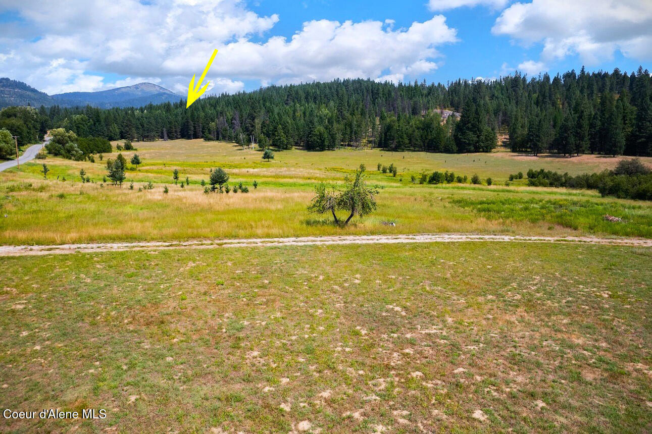 Lot 2 Wrenco Loop Sandpoint, ID 83864 - Photo 6 of 26 Surrounding meadow views