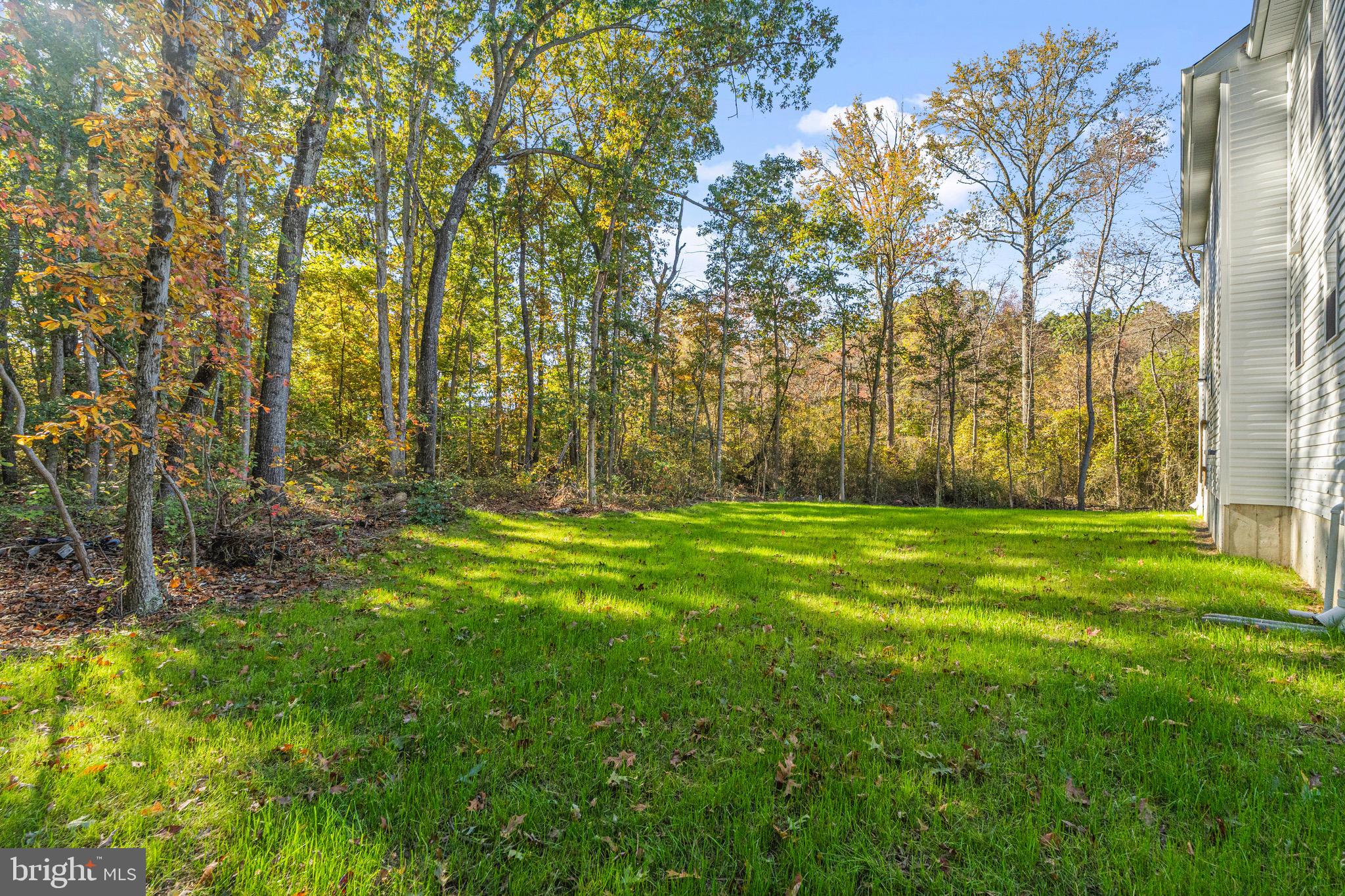 765 Little Mill Road Monroeville, NJ 08343 - Photo 6 of 39 a view of outdoor space with a garden