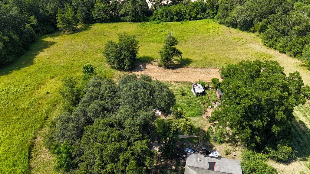 0 Main Street Headland, AL 36345 - Photo 9 of 12