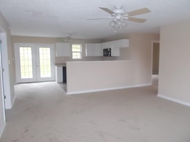 203 Kitts Road Luttrell, TN 37779 - Photo 5 of 14 DSCN7999