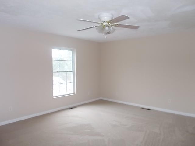 203 Kitts Road Luttrell, TN 37779 - Photo 9 of 14 DSCN8006