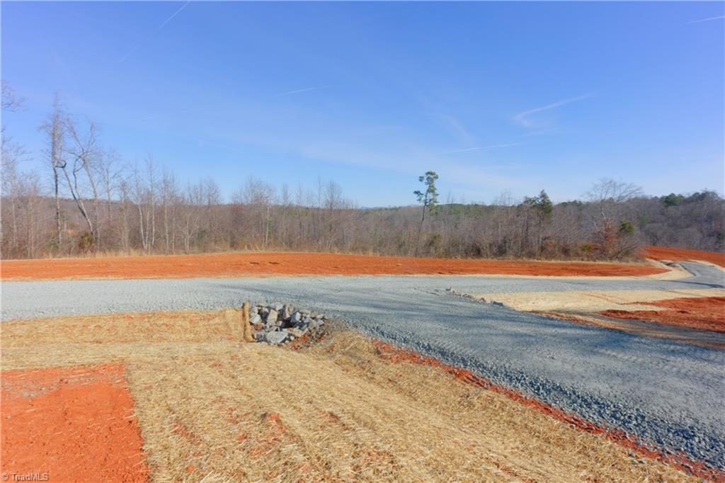 5 Roby Fulk Road Pinnacle, NC 27043 - Photo 11 of 28