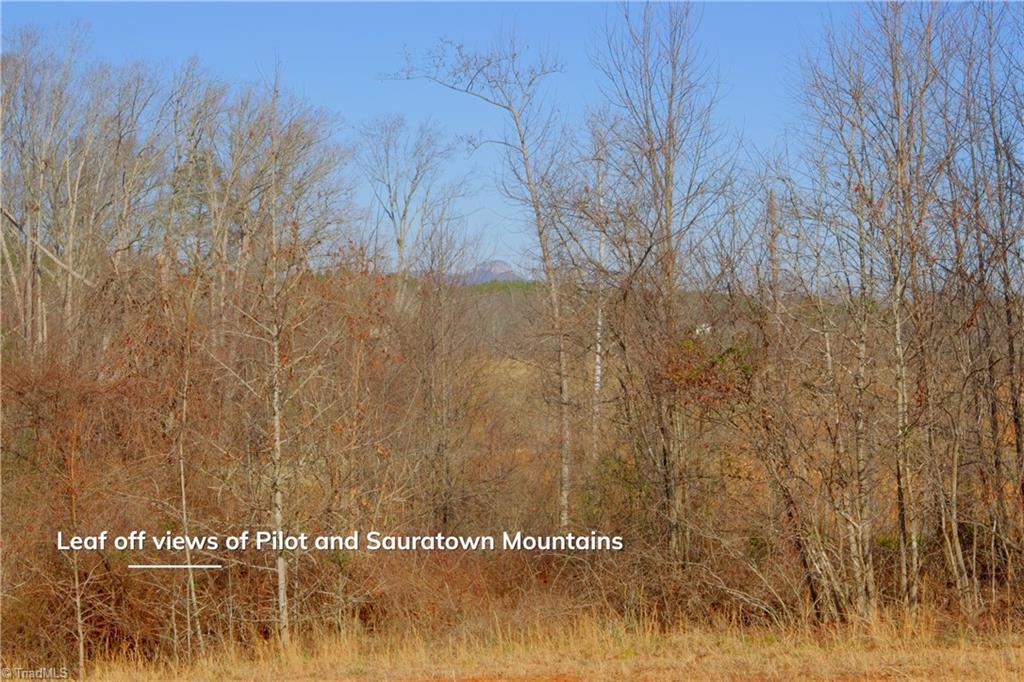 5 Roby Fulk Road Pinnacle, NC 27043 - Photo 12 of 28