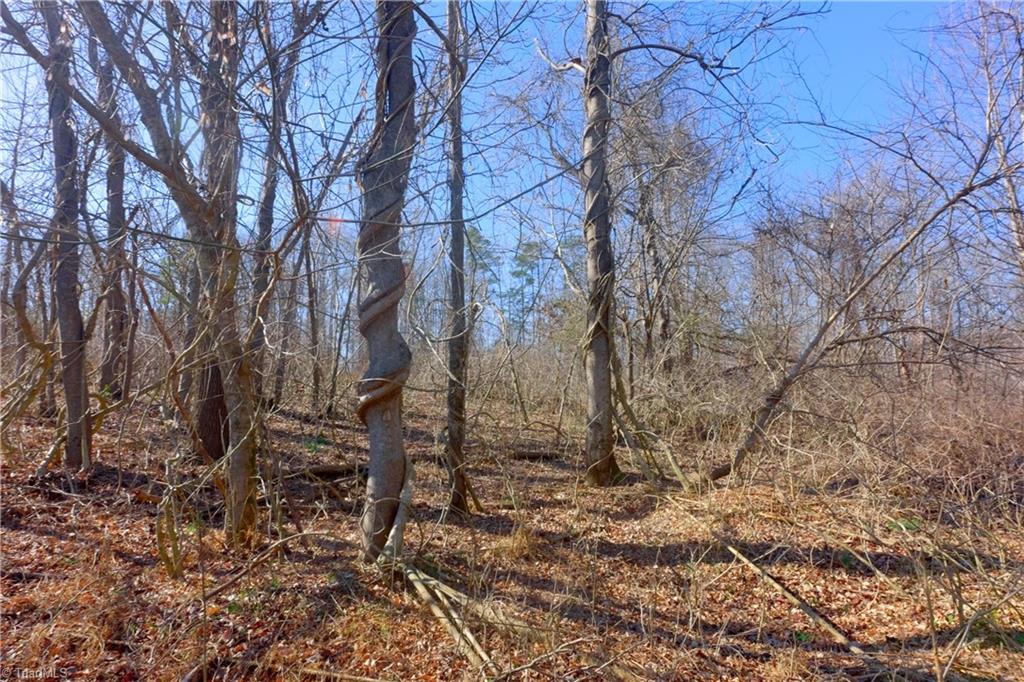 5 Roby Fulk Road Pinnacle, NC 27043 - Photo 13 of 28