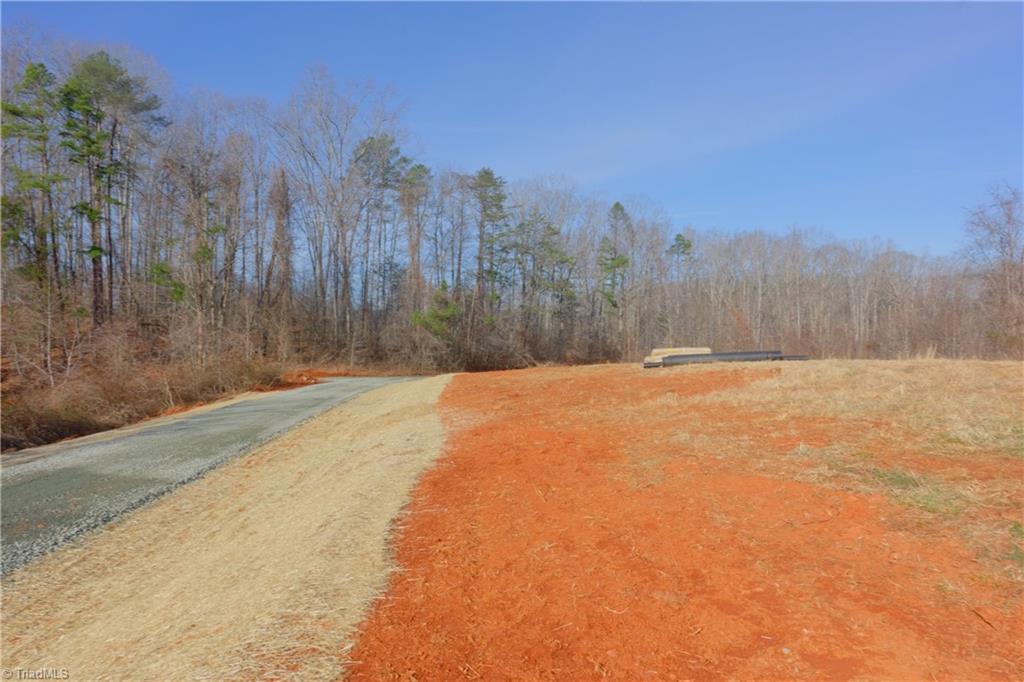 5 Roby Fulk Road Pinnacle, NC 27043 - Photo 4 of 28