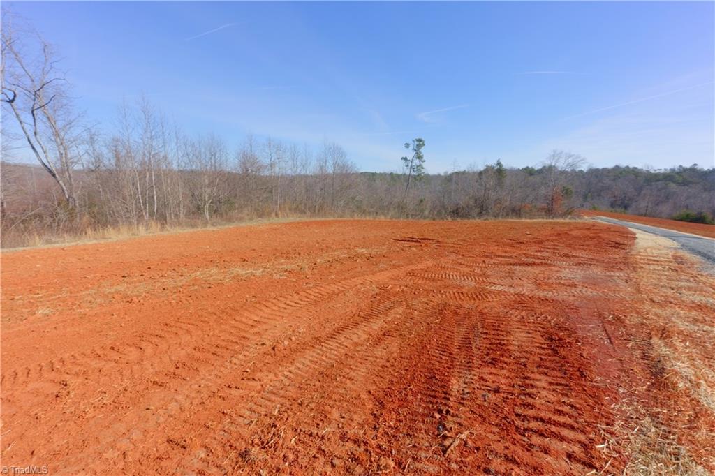 5 Roby Fulk Road Pinnacle, NC 27043 - Photo 6 of 28