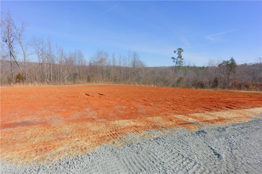 5 Roby Fulk Road Pinnacle, NC 27043 - Photo 7 of 28