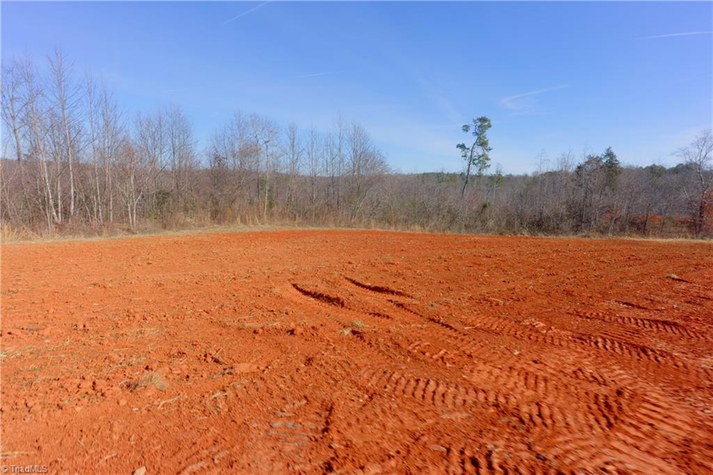 5 Roby Fulk Road Pinnacle, NC 27043 - Photo 8 of 28