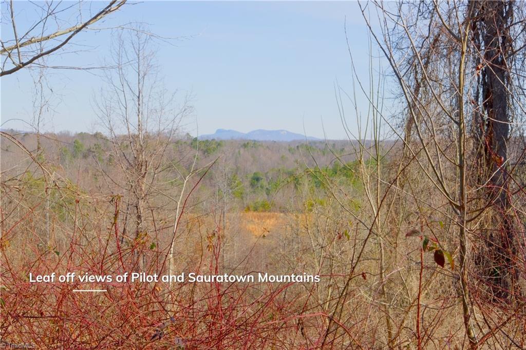 5 Roby Fulk Road Pinnacle, NC 27043 - Photo 10 of 28