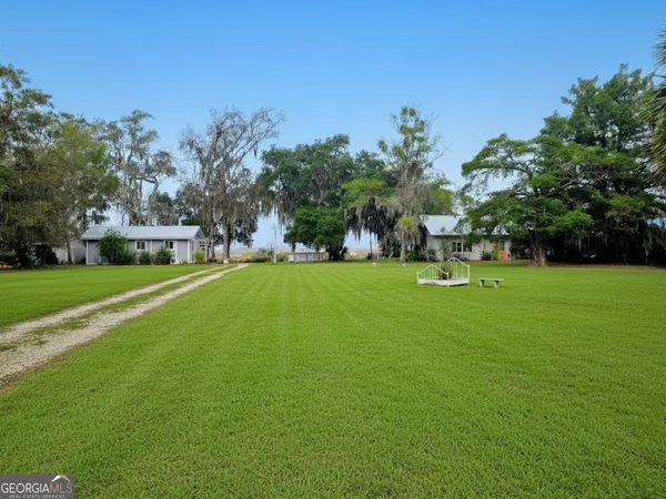a view of a park with large trees