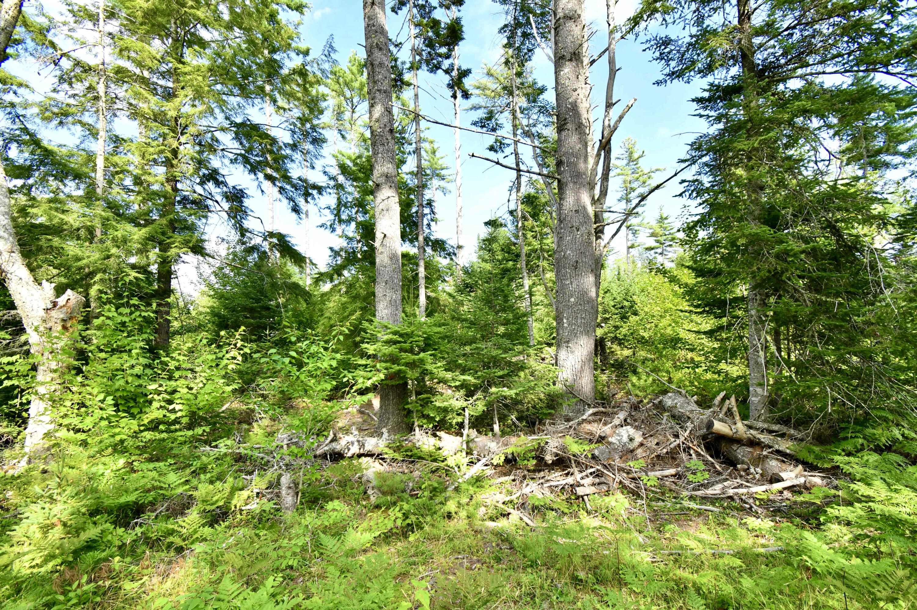 0 Great Pond Road Aurora, ME 04408 - Photo 22 of 31 F4D686F6-76B4-44F9-A309-71EE388E346F_1_2
