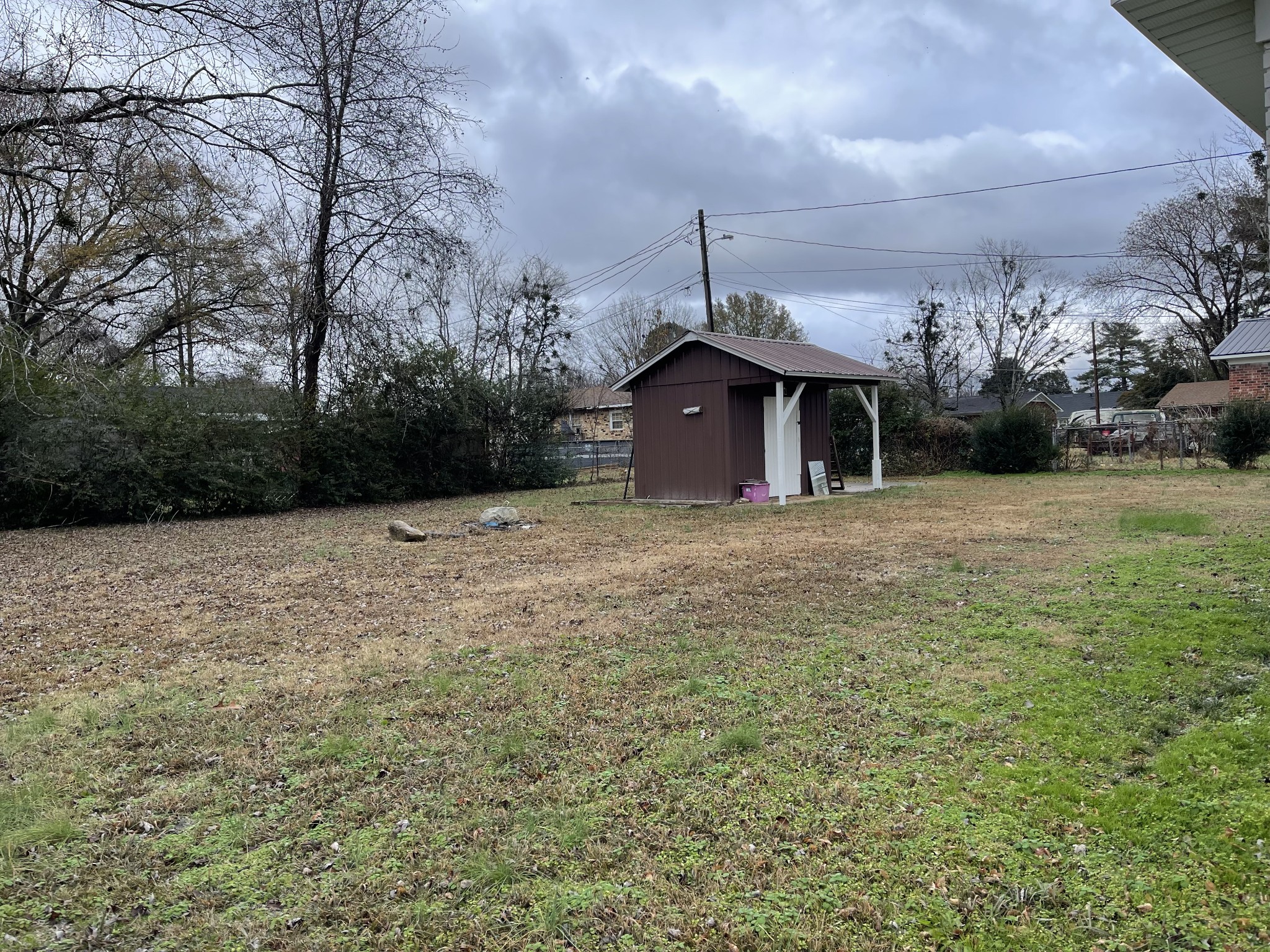 255 Maple Street Savannah, TN 38372 - Photo 18 of 20 a view of a large tree in front of a house