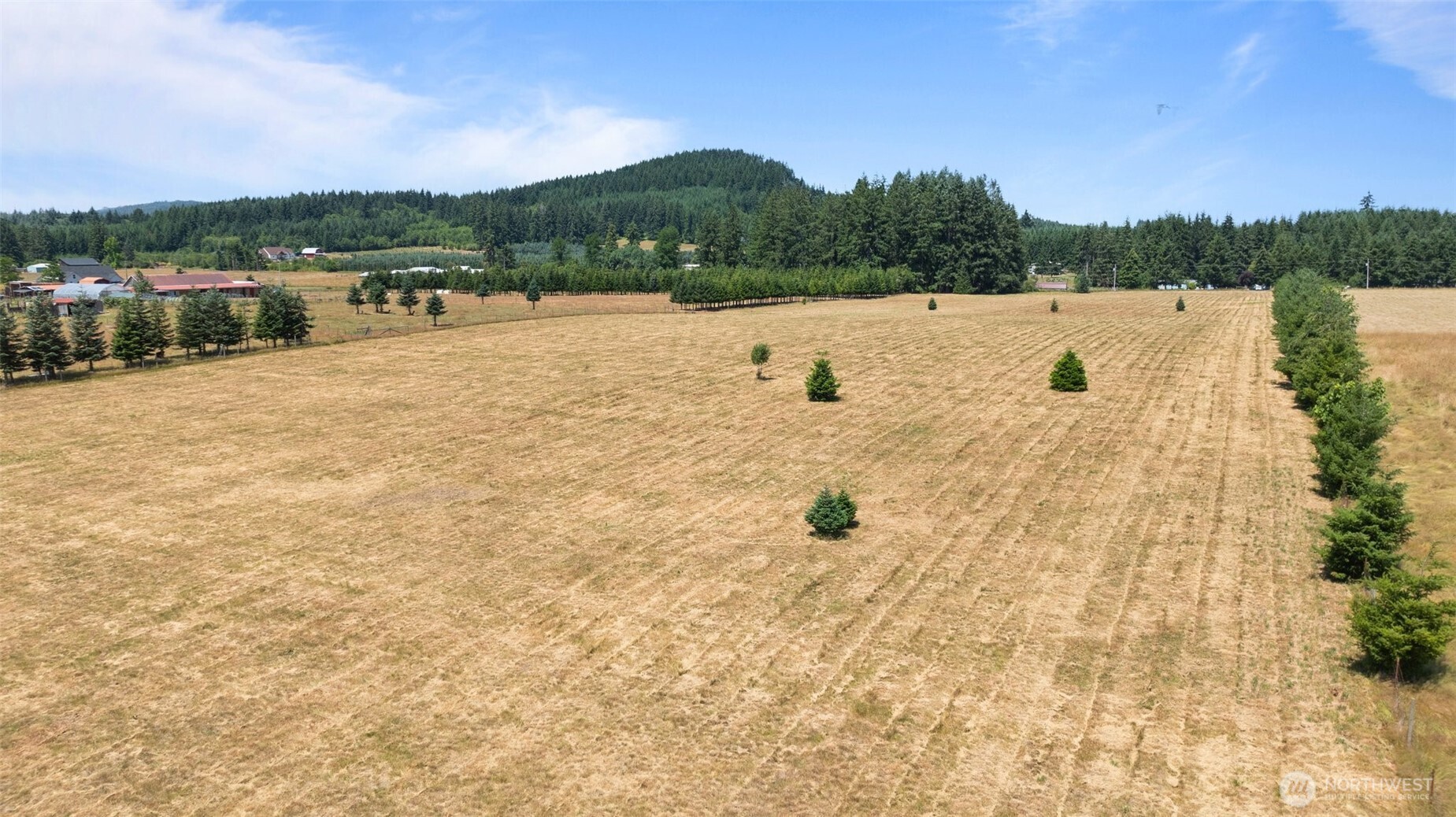 0 Nelson Road Winlock, WA 98596 - Photo 16 of 21