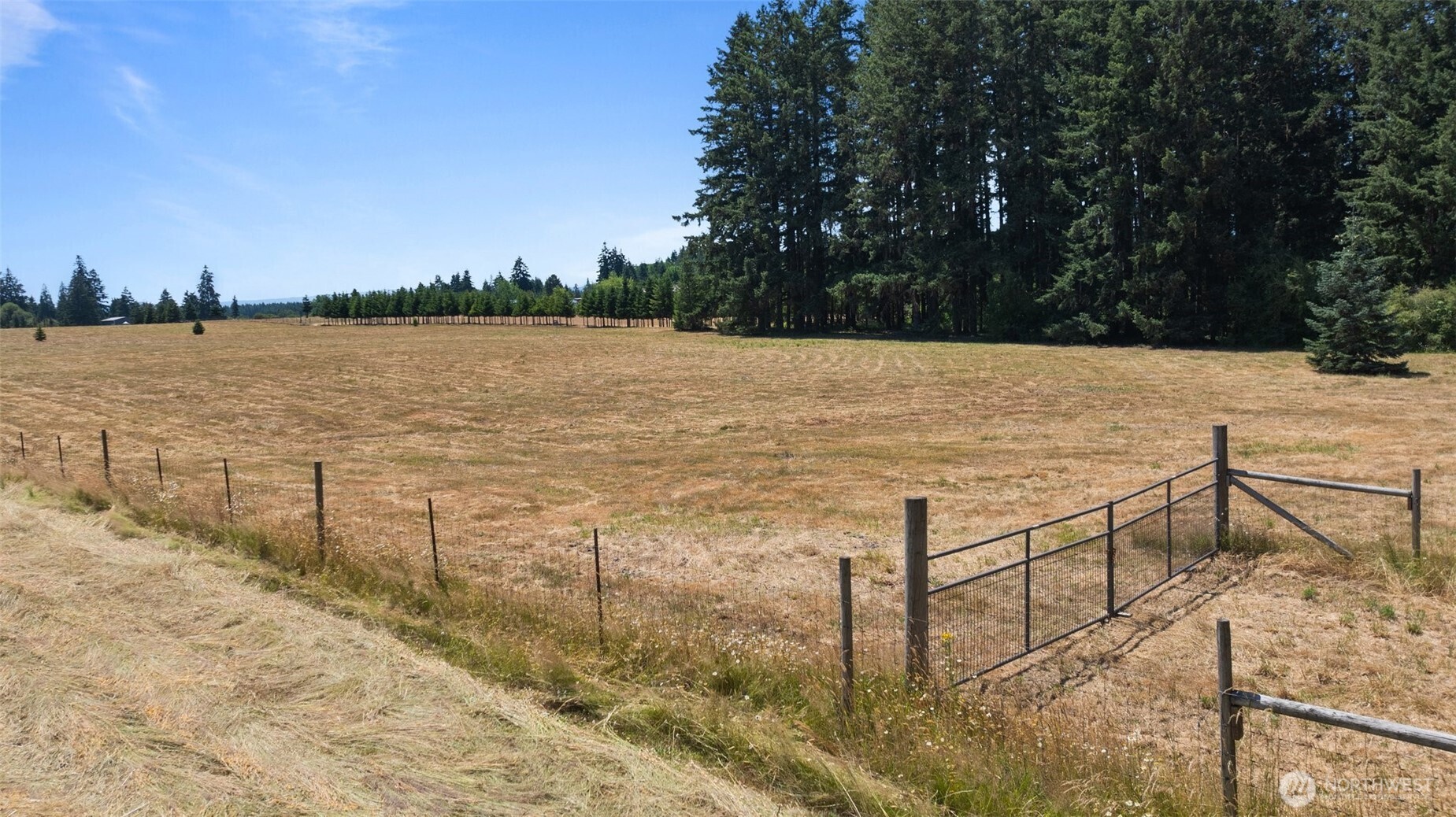 0 Nelson Road Winlock, WA 98596 - Photo 18 of 21