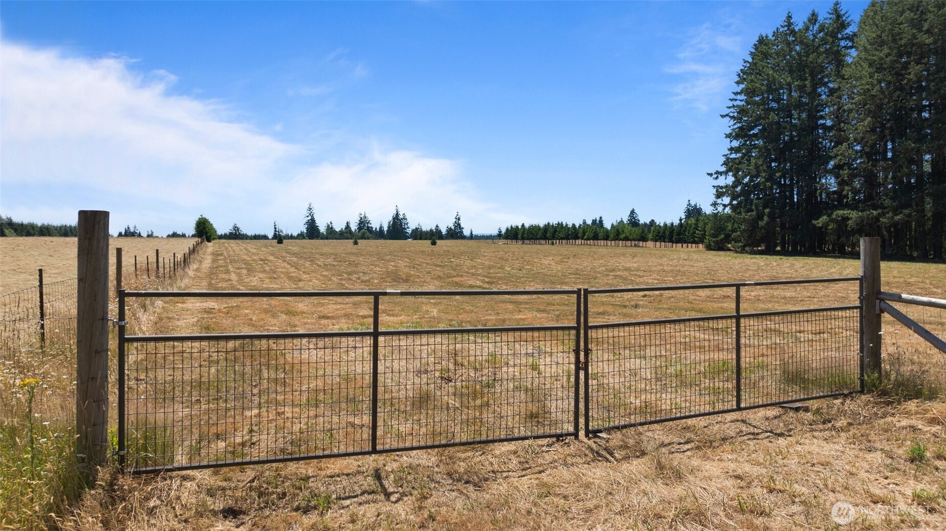 0 Nelson Road Winlock, WA 98596 - Photo 19 of 21