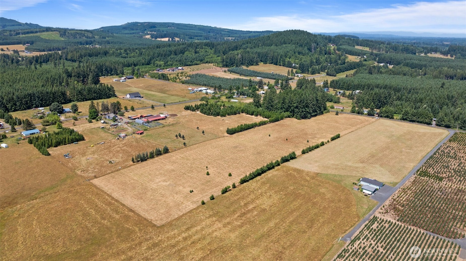 0 Nelson Road Winlock, WA 98596 - Photo 20 of 21