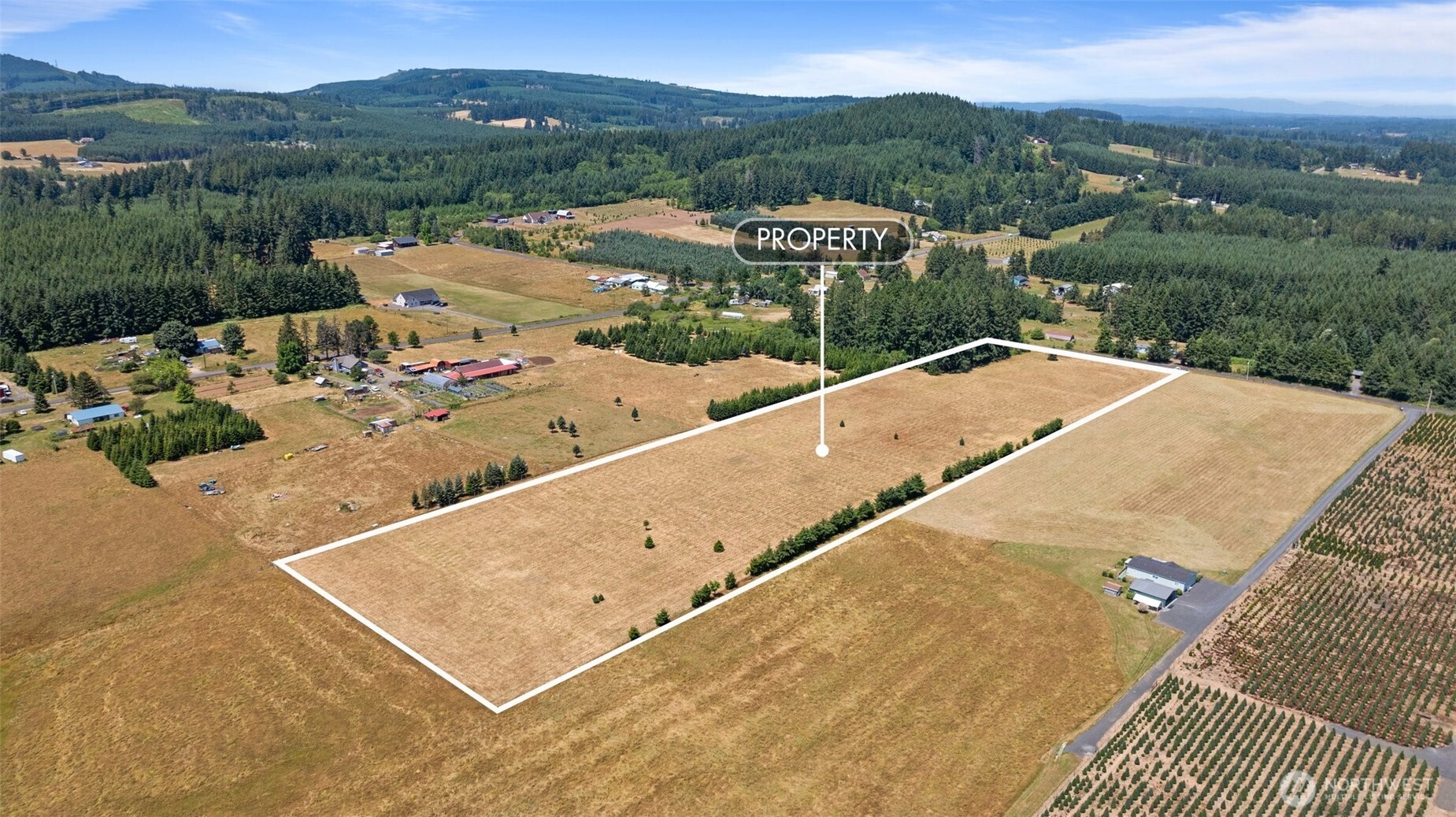 0 Nelson Road Winlock, WA 98596 - Photo 3 of 21