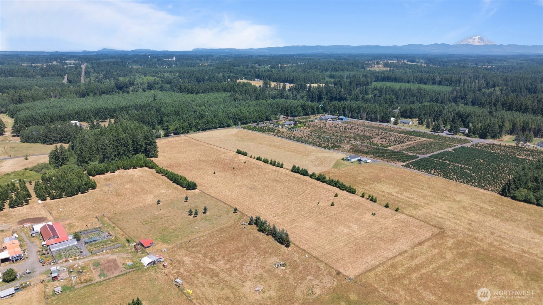 0 Nelson Road Winlock, WA 98596 - Photo 4 of 21