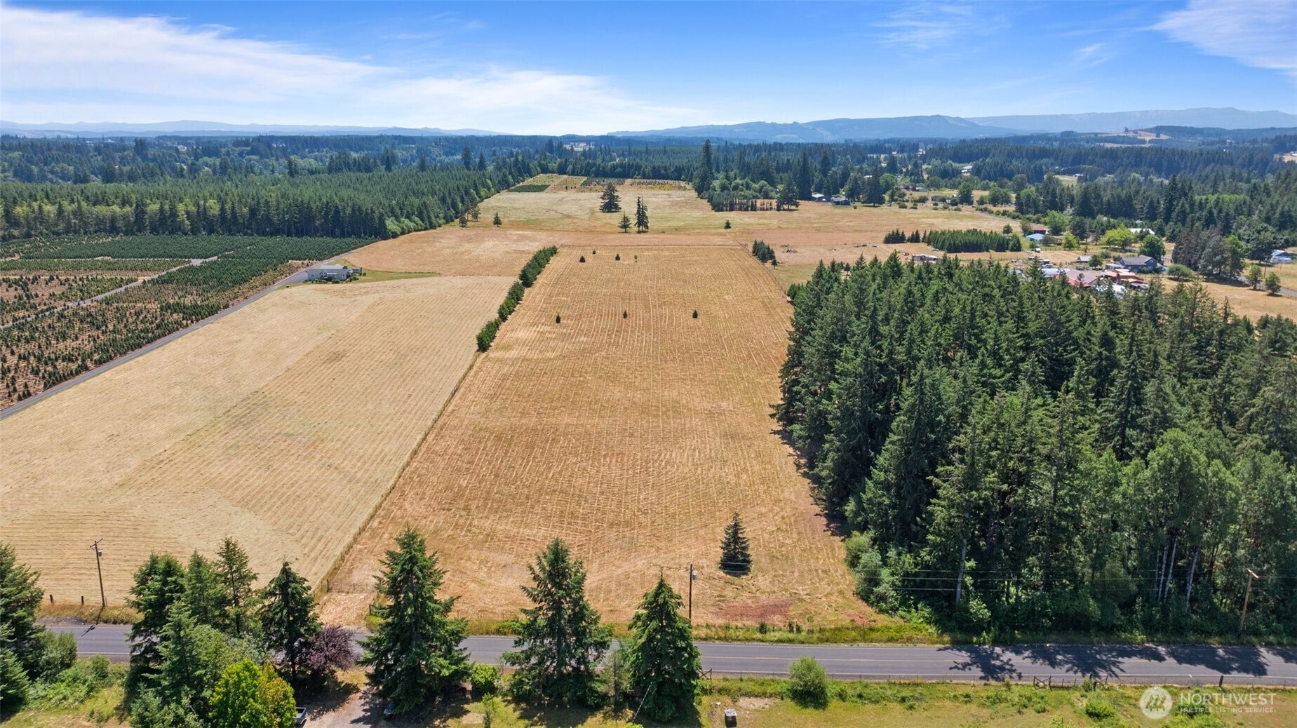 0 Nelson Road Winlock, WA 98596 - Photo 6 of 21