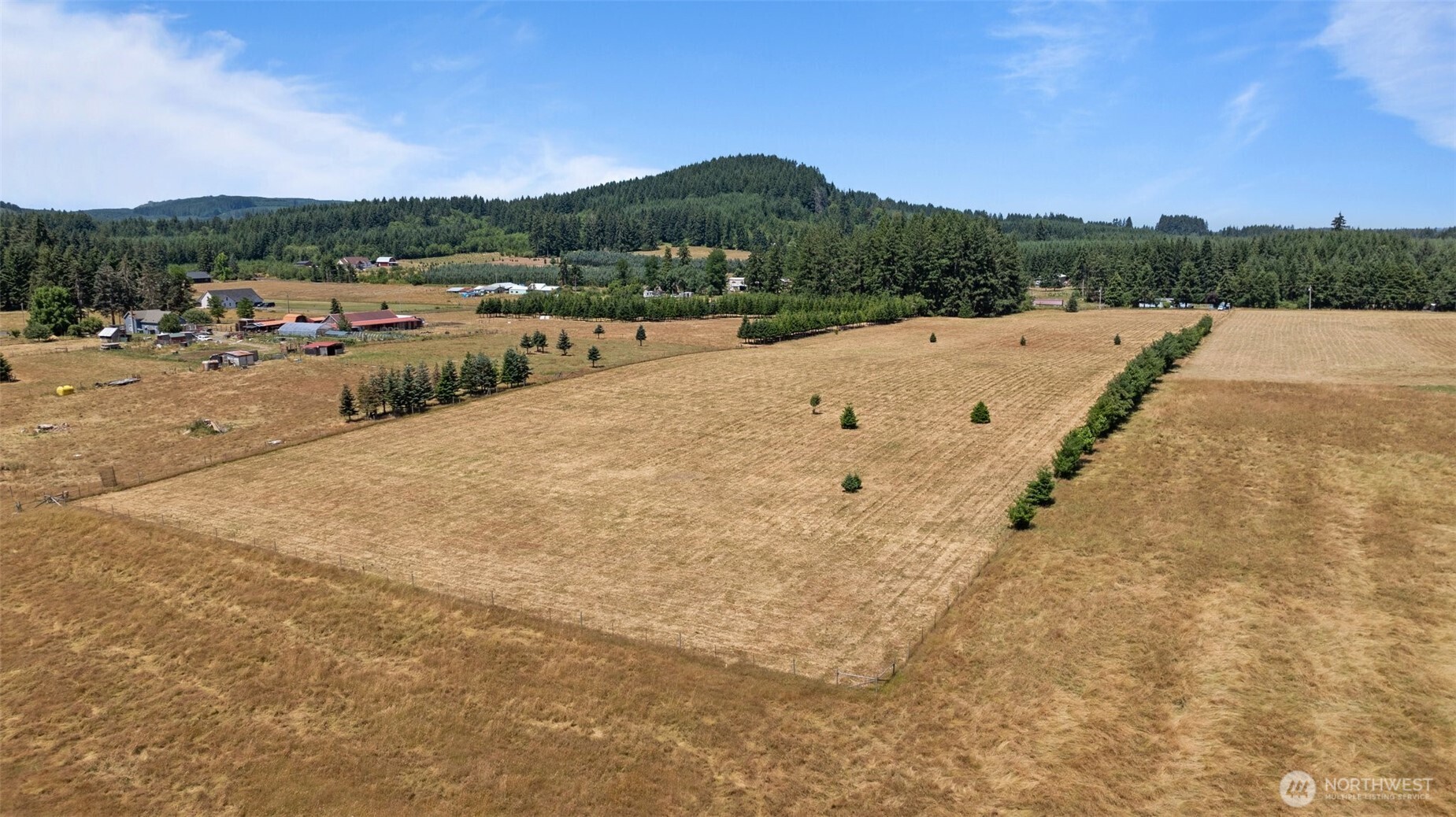 0 Nelson Road Winlock, WA 98596 - Photo 7 of 21