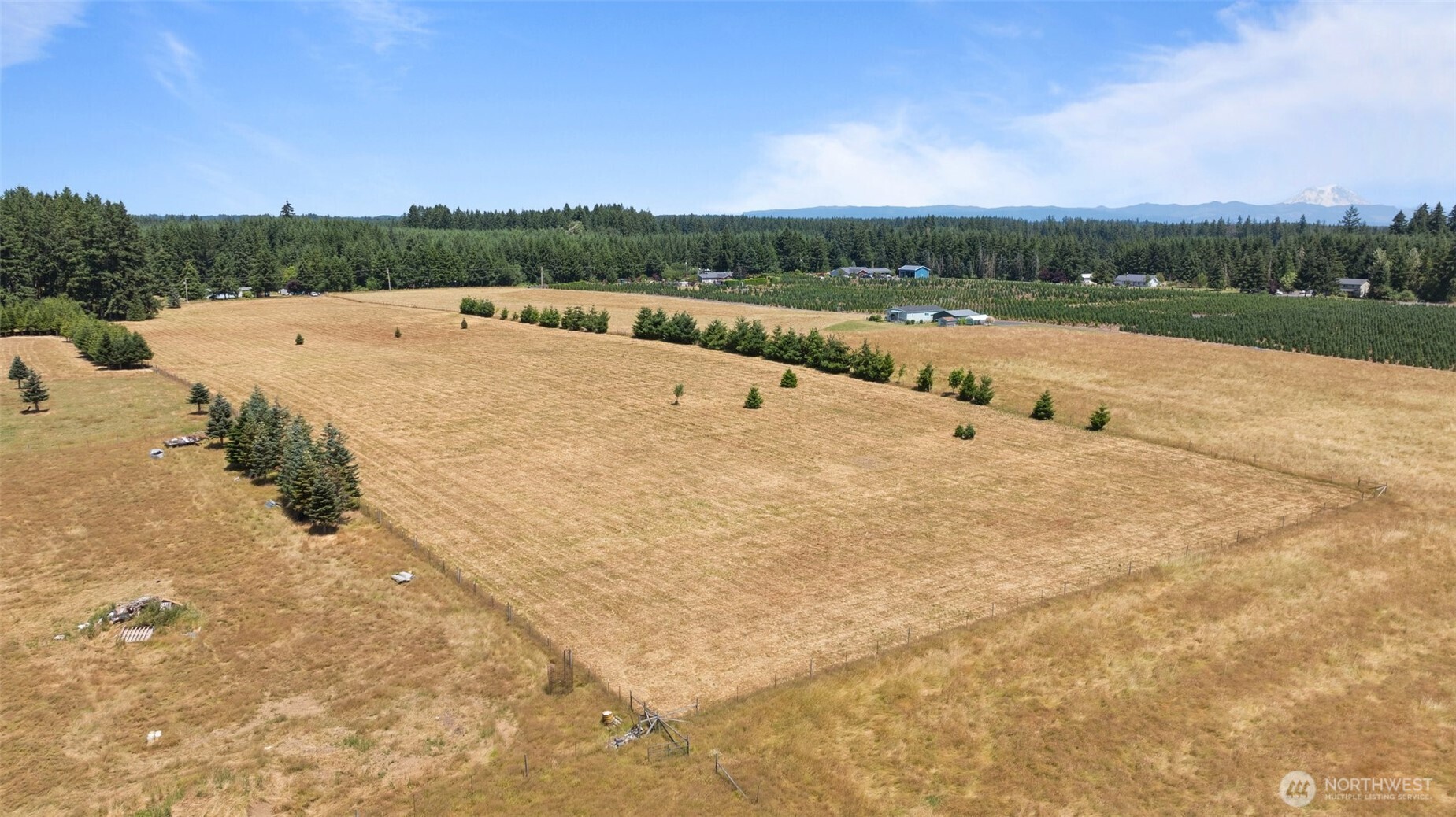 0 Nelson Road Winlock, WA 98596 - Photo 8 of 21