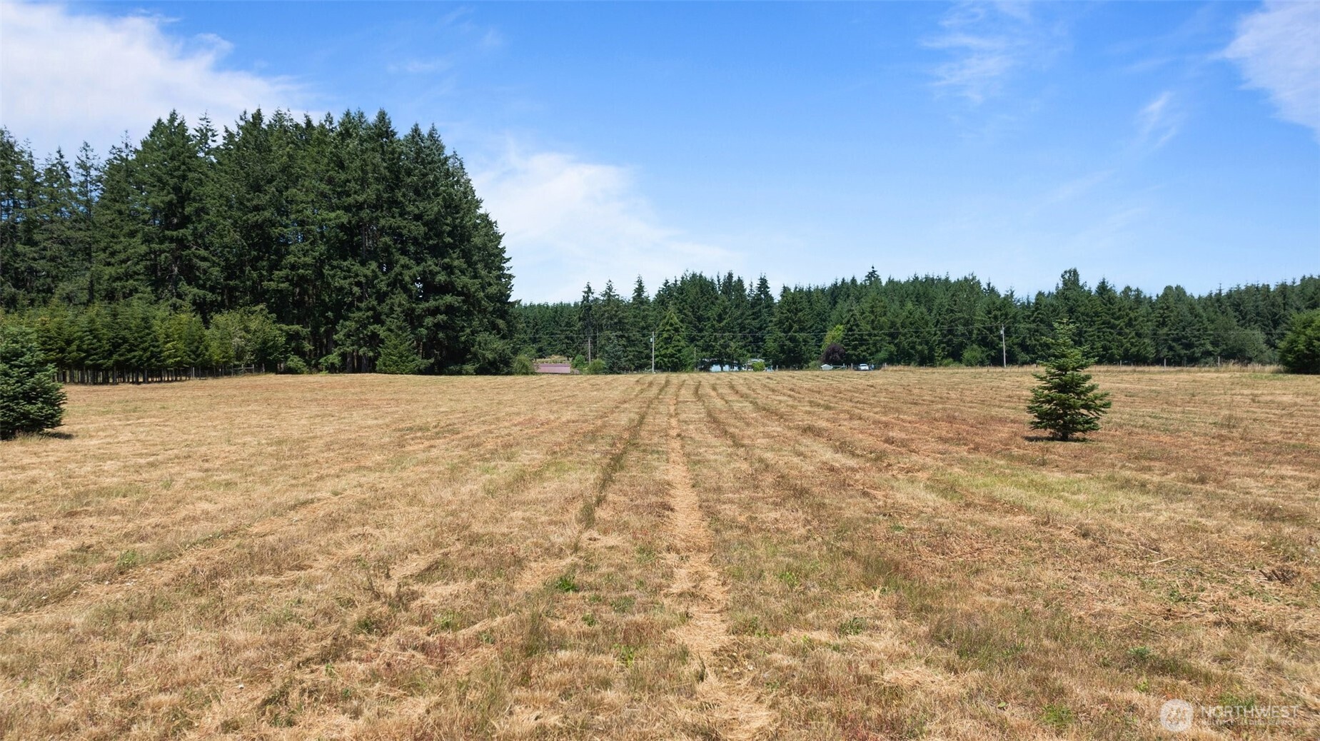 0 Nelson Road Winlock, WA 98596 - Photo 9 of 21