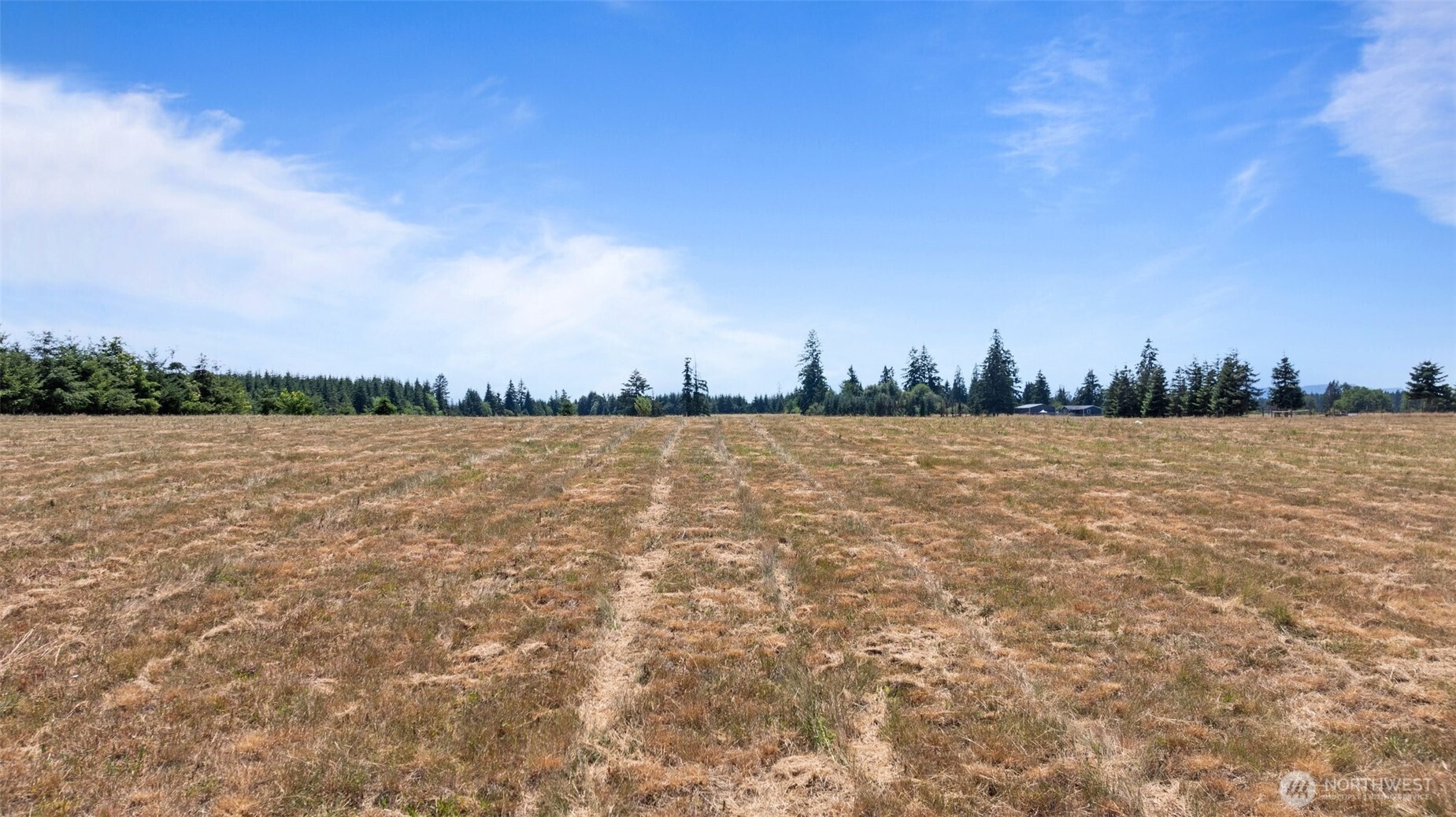 0 Nelson Road Winlock, WA 98596 - Photo 10 of 21