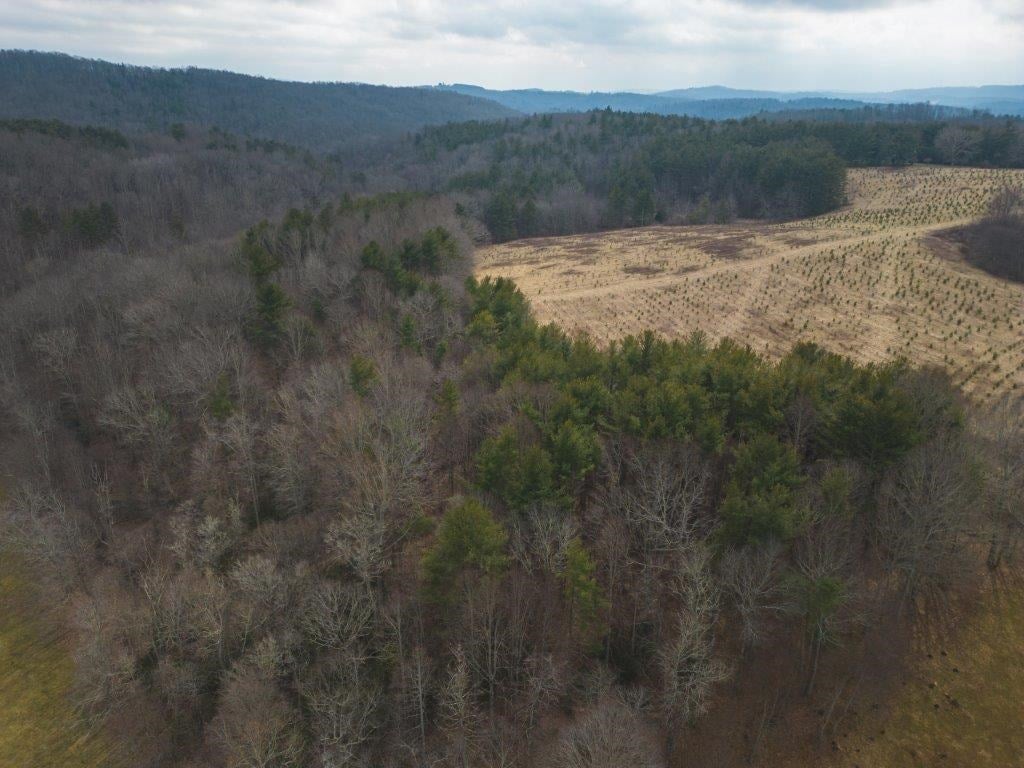 Tbd Long Mountain Road Southwest Willis, VA 24380 - Photo 25 of 66 Gallery Image 25