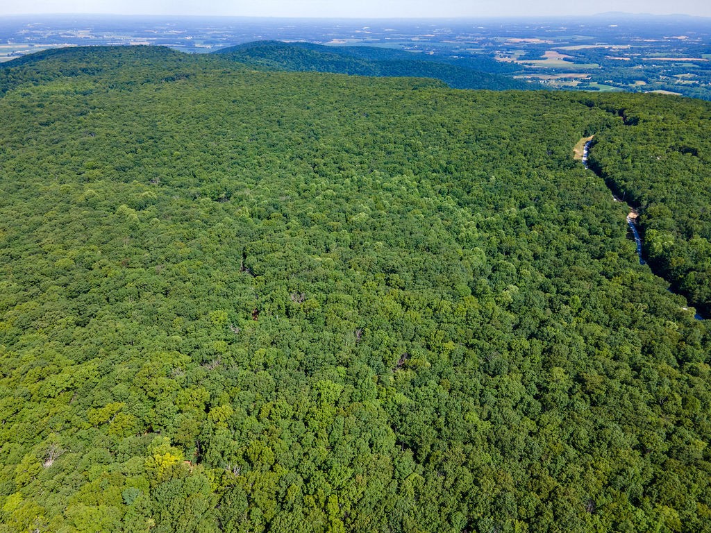 0 Valley View Drive Altamont, TN 37301 - Photo 11 of 23